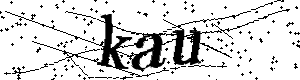 Bitte geben Sie die gezeigten Buchstaben und Zahlen ein