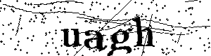 Bitte geben Sie die gezeigten Buchstaben und Zahlen ein