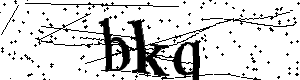 Bitte geben Sie die gezeigten Buchstaben und Zahlen ein