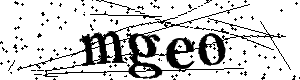 Bitte geben Sie die gezeigten Buchstaben und Zahlen ein