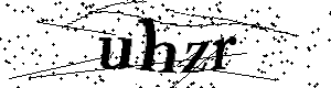 Bitte geben Sie die gezeigten Buchstaben und Zahlen ein