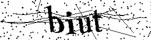 Bitte geben Sie die gezeigten Buchstaben und Zahlen ein