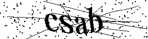 Bitte geben Sie die gezeigten Buchstaben und Zahlen ein