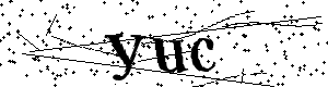 Bitte geben Sie die gezeigten Buchstaben und Zahlen ein