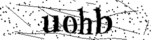 Bitte geben Sie die gezeigten Buchstaben und Zahlen ein