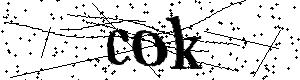 Bitte geben Sie die gezeigten Buchstaben und Zahlen ein