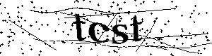 Bitte geben Sie die gezeigten Buchstaben und Zahlen ein