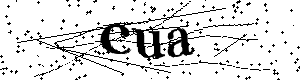 Bitte geben Sie die gezeigten Buchstaben und Zahlen ein