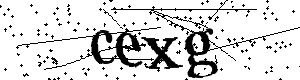 Bitte geben Sie die gezeigten Buchstaben und Zahlen ein