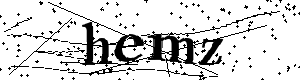 Bitte geben Sie die gezeigten Buchstaben und Zahlen ein