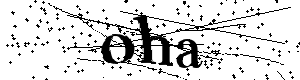 Bitte geben Sie die gezeigten Buchstaben und Zahlen ein