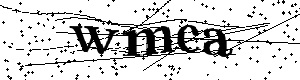 Bitte geben Sie die gezeigten Buchstaben und Zahlen ein