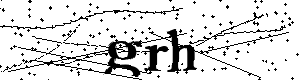 Bitte geben Sie die gezeigten Buchstaben und Zahlen ein
