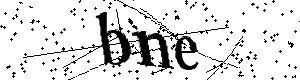 Bitte geben Sie die gezeigten Buchstaben und Zahlen ein