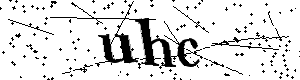 Bitte geben Sie die gezeigten Buchstaben und Zahlen ein