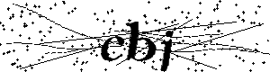 Bitte geben Sie die gezeigten Buchstaben und Zahlen ein