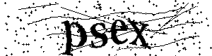 Bitte geben Sie die gezeigten Buchstaben und Zahlen ein