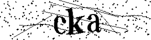 Bitte geben Sie die gezeigten Buchstaben und Zahlen ein