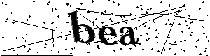 Bitte geben Sie die gezeigten Buchstaben und Zahlen ein