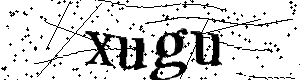 Bitte geben Sie die gezeigten Buchstaben und Zahlen ein