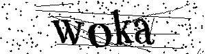 Bitte geben Sie die gezeigten Buchstaben und Zahlen ein
