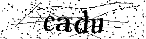 Bitte geben Sie die gezeigten Buchstaben und Zahlen ein