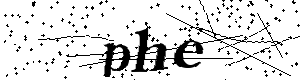 Bitte geben Sie die gezeigten Buchstaben und Zahlen ein