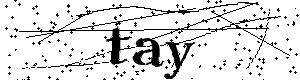 Bitte geben Sie die gezeigten Buchstaben und Zahlen ein