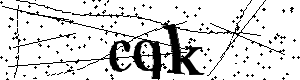 Bitte geben Sie die gezeigten Buchstaben und Zahlen ein