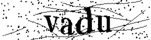 Bitte geben Sie die gezeigten Buchstaben und Zahlen ein