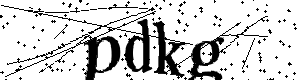 Bitte geben Sie die gezeigten Buchstaben und Zahlen ein