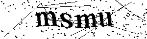Bitte geben Sie die gezeigten Buchstaben und Zahlen ein